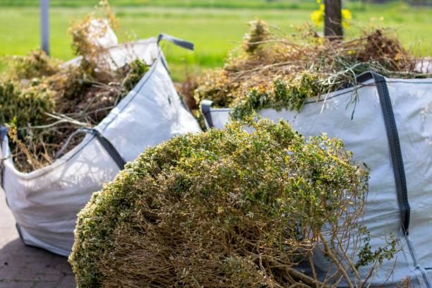 Best Shed Removal  in New Baltimore, MI