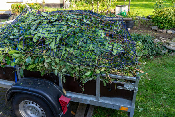Best Recycling Services for Junk  in New Baltimore, MI